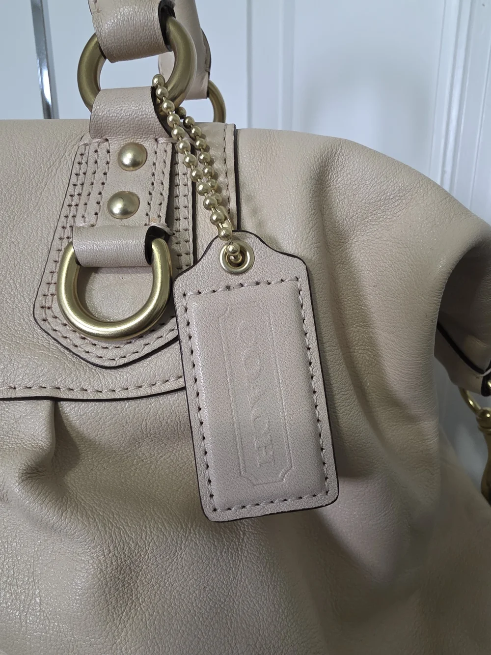 Coach Ashley Large Leather Satchel Handbag